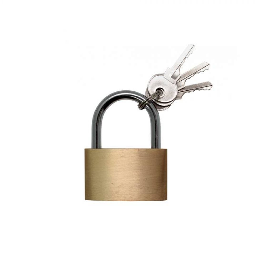 candado-de-bronce-50-mm-cbc500